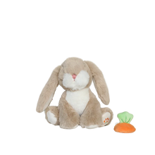 Load image into Gallery viewer, Binky Bunny Hop
