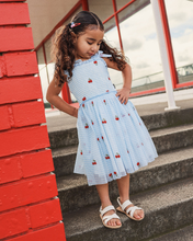Load image into Gallery viewer, Lunabelle Dress - Blue Gingham