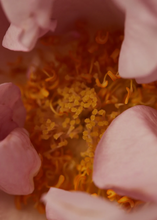 Load image into Gallery viewer, Scented Oil Perfume - Souq