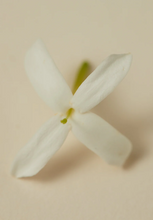 Load image into Gallery viewer, Scented Oil Perfume - Souq