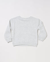 Load image into Gallery viewer, Noah Jumper - Landscape