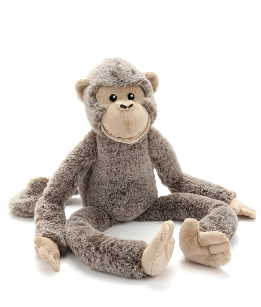 Mani the monkey
