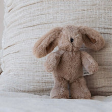 Load image into Gallery viewer, Hugh Rabbit Mini
