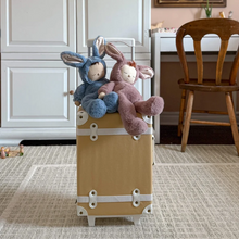 Load image into Gallery viewer, Cozy Dinkum Bunny Pickle
