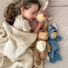 Load image into Gallery viewer, Cozy Dinkum Bunny Pickle

