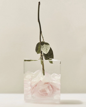 Load image into Gallery viewer, Wild Rosella Body Lotion
