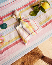 Load image into Gallery viewer, Bellissimo Stripe Embroidered Napkin Set
