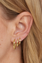 Load image into Gallery viewer, Textured Gold Huggies &amp; Lexi Sapphire Charms
