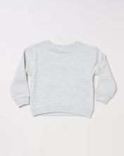 Load image into Gallery viewer, Noah Jumper - Landscape
