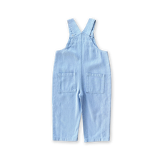 Load image into Gallery viewer, Organic Embroidery Posy Overalls - Ice Blue
