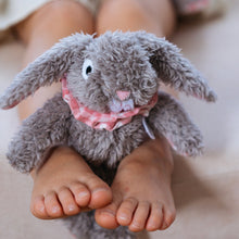 Load image into Gallery viewer, Eloise Rabbit - Mini
