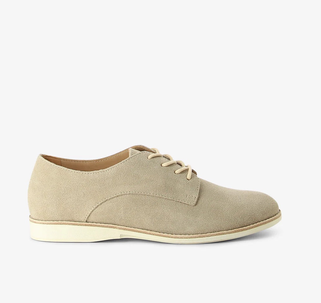 Derby Super Soft - Suede Light Stone