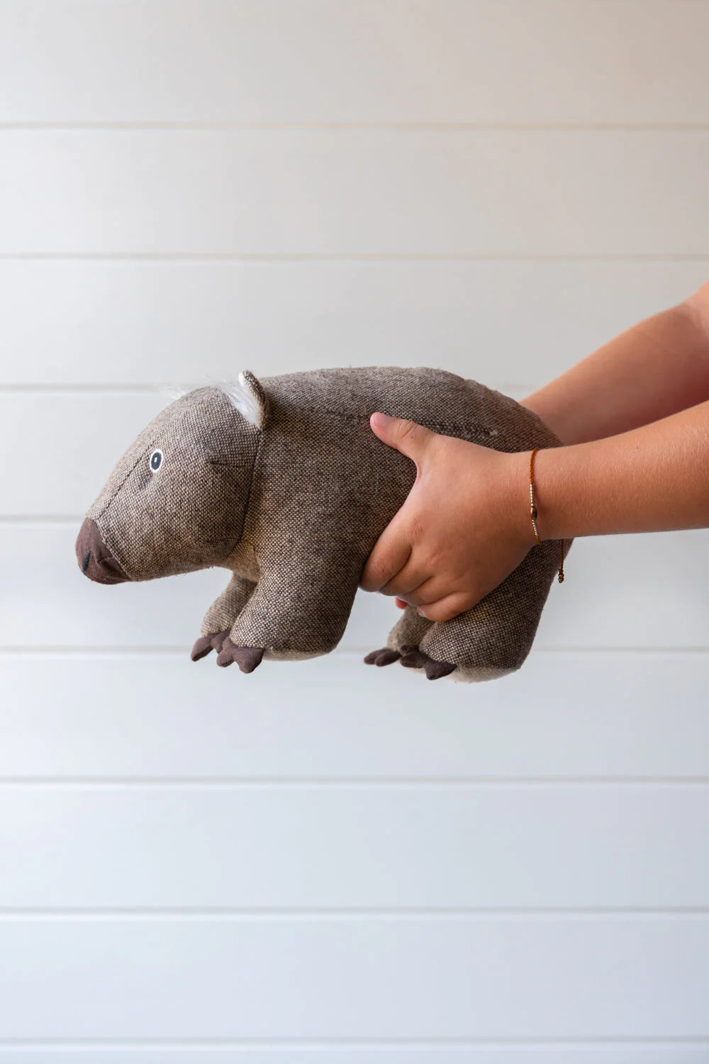 Wally The Wombat